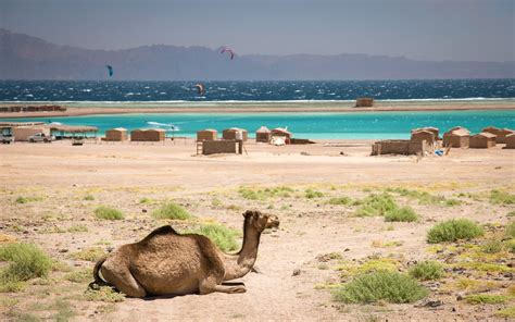 Dahab Blue Lagoon & Abu Galoum - Complete Guide (Egypt) – We Seek Travel Blog