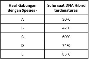 Satu strand DNA dari spesies P di hibridisasi (dig...