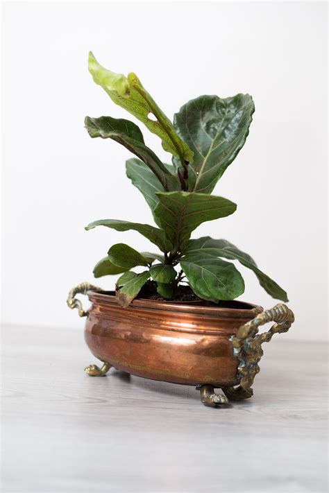 Vintage Copper Planter - Oval Metal Pot with Brass Handles and Feet ...