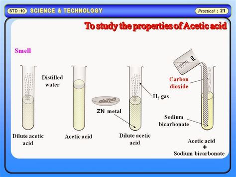 Physics Learn: Physical and chemical properties of acetic acid. Science ...