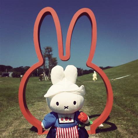 Miffy loves adventures | Miffy, Cute presents, Cute photos