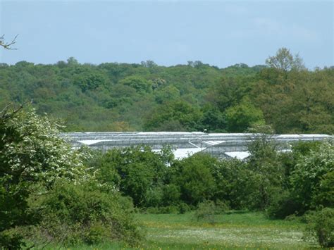 Greenhouses at Crews Hill © Stephen Dawson :: Geograph Britain and Ireland