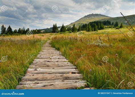 Vitosha mountain stock image. Image of trees, cloud, climb - 58231547