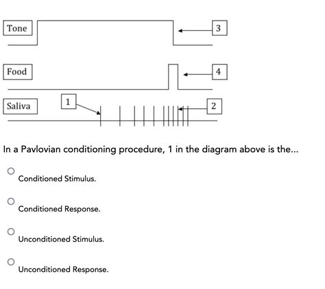 Solved In a Pavlovian conditioning procedure, 1 in the | Chegg.com