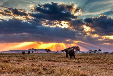 Photo of the Moment: Elephants Return Home, Tanzania — Vagabondish