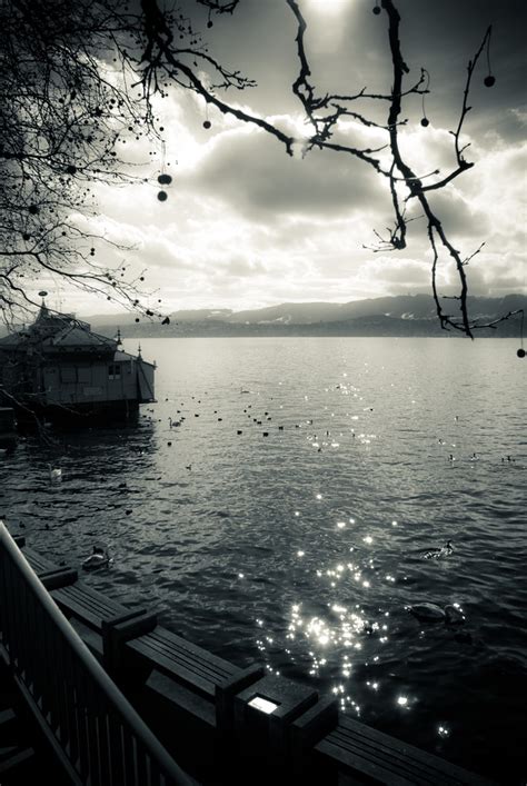 Lake Zurich | Clemens v. Vogelsang | Flickr