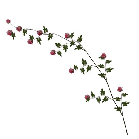 Rose Vine Image Transparent HQ PNG Download | FreePNGimg