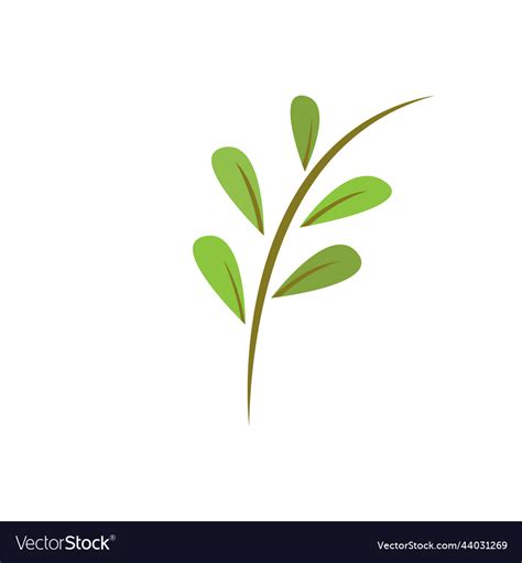 Green leaf Royalty Free Vector Image - VectorStock