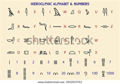 Ancient Egypt Hieroglyphic Alphabet Numbers Stock Vector (Royalty Free) 2032053761 | Shutterstock