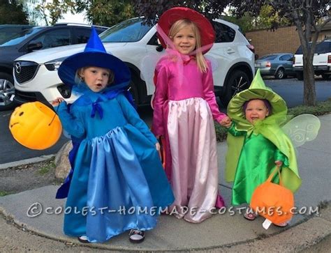 Cutest Flora, Fauna, and Merryweather Fairy Costumes