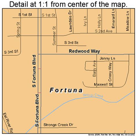 Fortuna California Street Map 0625296