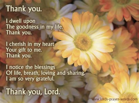 Pin by Diane Peters on Faith in God | Prayers of gratitude, Afternoon prayer, Sunday morning prayer