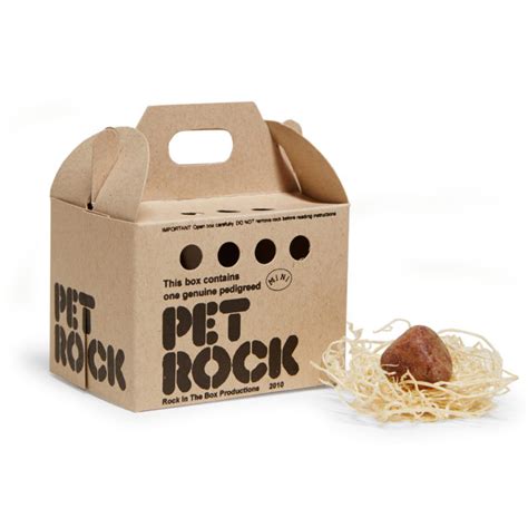 Pet Rock Kit - Shop