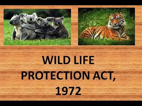 protection of wildlife act 1972 malaysia - Dan Sutherland