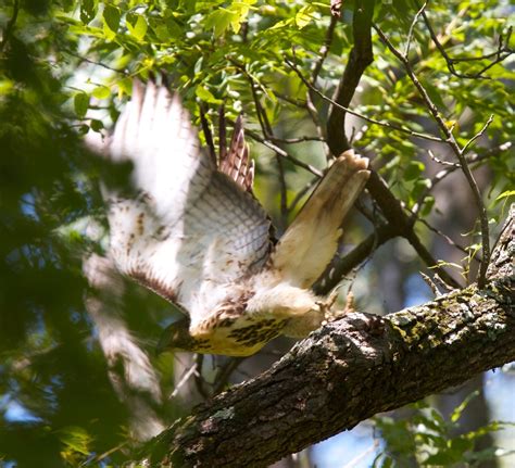 early September | Life and Wildlife along the Little Buffalo River