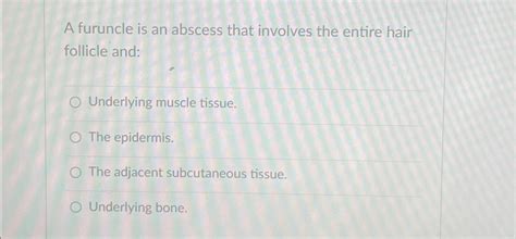 Solved A furuncle is an abscess that involves the entire | Chegg.com