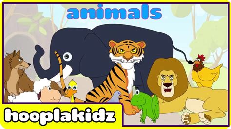 Learn About Sounds of Animals 2 | Preschool Activity by Hooplakidz - YouTube