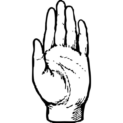 Left Hand Print PNG, SVG Clip art for Web - Download Clip Art, PNG Icon ...