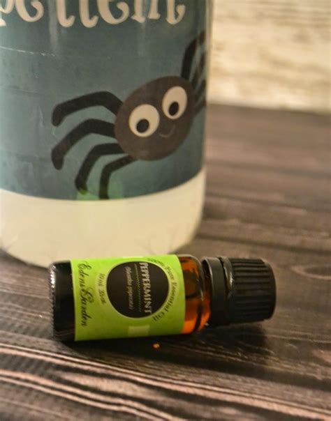 Homemade Non-Toxic Spider Repellent #DIY | Building Our Story