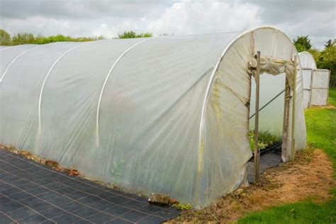 How To Build A DIY Polytunnel Greenhouse | UpGardener™