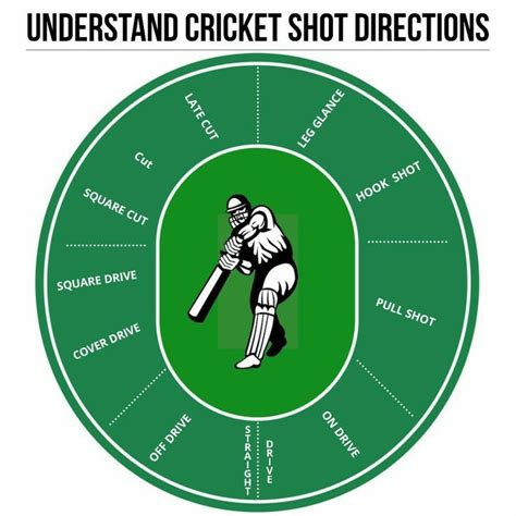 Understanding Different Cricket Shots and Directions - sportsingo