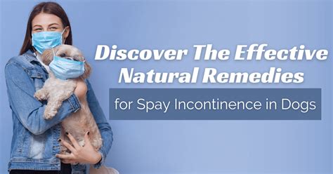 Discover The Effective Natural Remedies for Spay Incontinence in Dogs