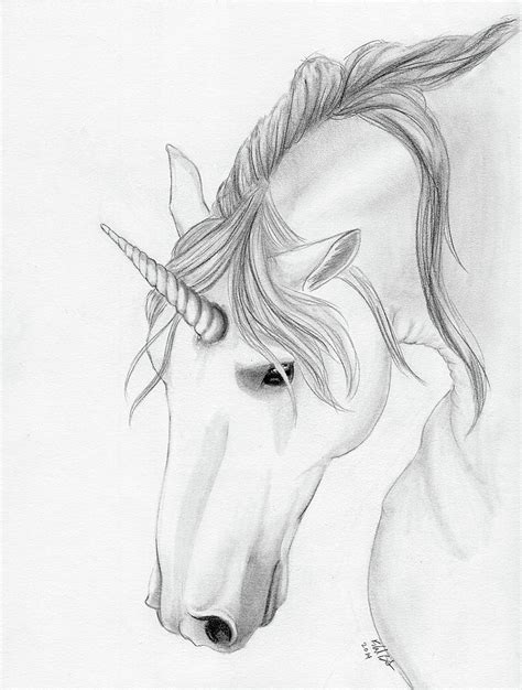 Unicorn in pencil Drawing by Rachel Bales - Fine Art America