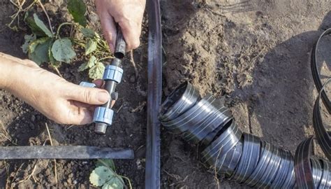 Drip Tape Irrigation Explained | When, Where & How To Use