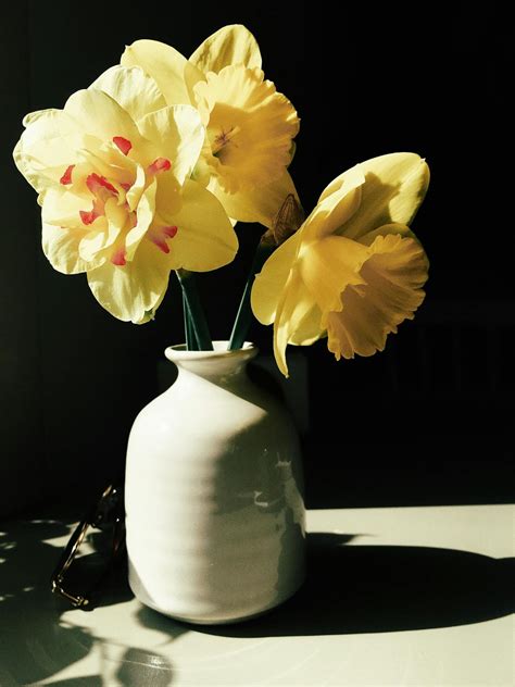 Yellow Flowers in White Ceramic Vase · Free Stock Photo