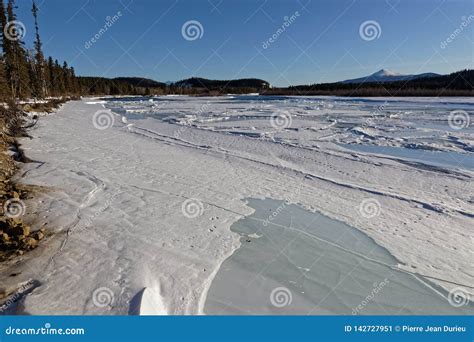 Yukon River Banks in Winter Near Whitehorse Stock Image - Image of north, countryside: 142727951