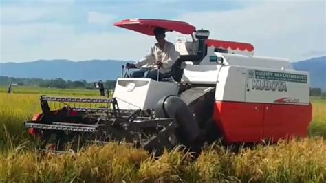 Amazing Rice Harvester in Philippines - YouTube