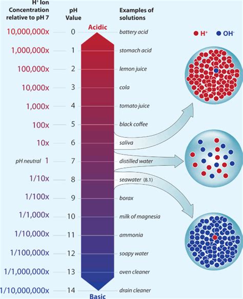 Applications of Exponential/Logarithmic Functions - Exponential and ...