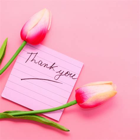 50 Simple Appreciation Messages to Express Your Gratitude