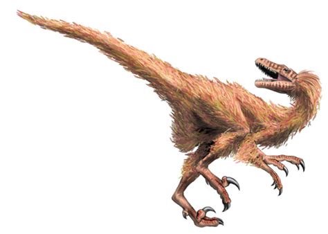 Dromaeosaurus | Cool Dino Facts Wiki | FANDOM powered by Wikia