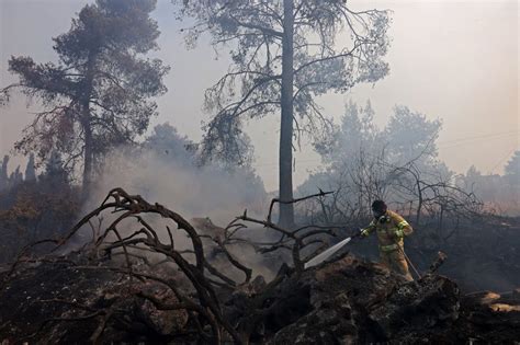 Israel Faces Heatwave Induced Forest Fires Across The Country - i24NEWS