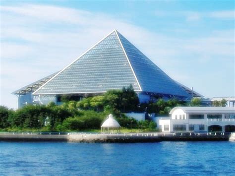 #386: Yokohama Hakkeijima Sea Paradise (Semiweekly-pedia of Japan) - The BBB