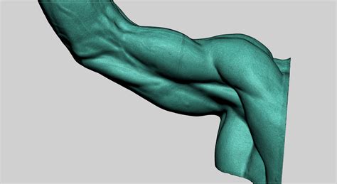 3D model human arm - TurboSquid 1685329