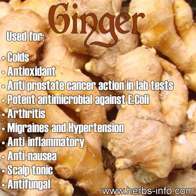 Ginger Benefits Pictures, Photos, and Images for Facebook, Tumblr, Pinterest, and Twitter