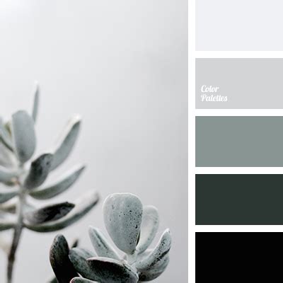concrete color | Color Palette Ideas