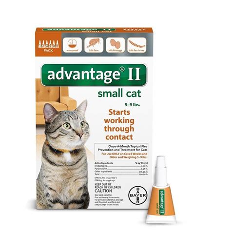 Flea Medicine For Kittens 6 Weeks