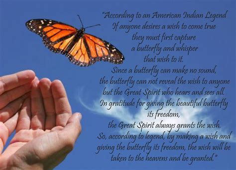 monarch butterfly inspirational quotes - Maximo Speed