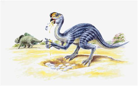 Interesting Facts About Protoceratops