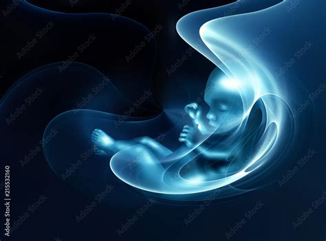 stylized image of an ultrasound examination of a pregnant woman Stock ...