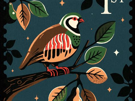 Partridge in a pear tree by Prints Harry on Dribbble