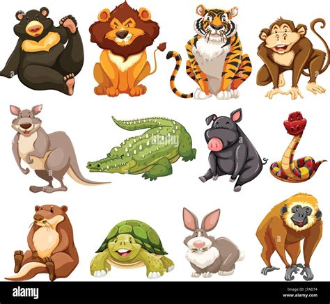 Jungle animals illustration hi-res stock photography and images - Alamy