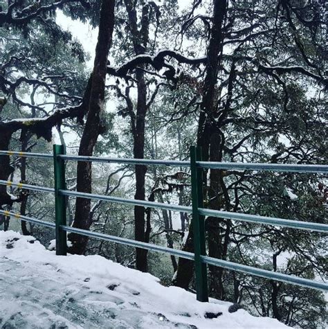 Snowfall In Mussoorie After 19 Years Looks As Magical As Youd Expect