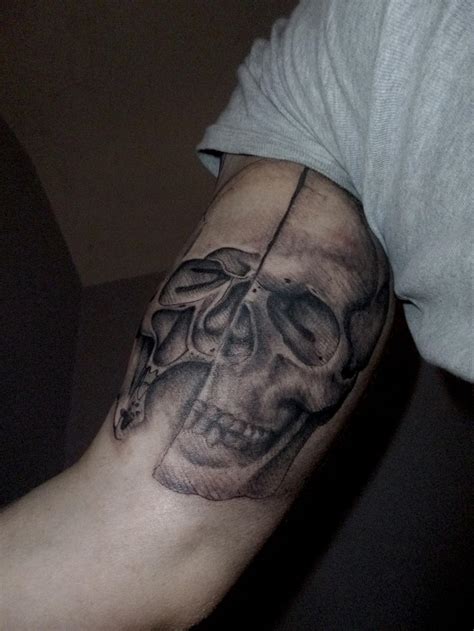 Anatomical Skull Tattoo by ONichollsArt on DeviantArt