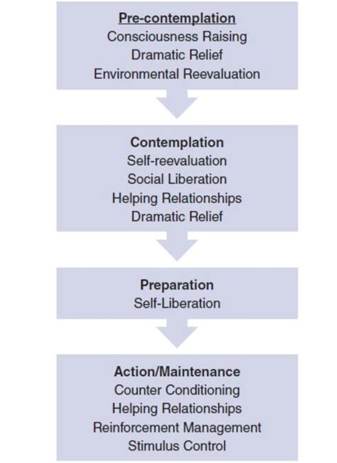 Chapter 6: Transtheoretical Model - Stages of Change Diagram | Quizlet