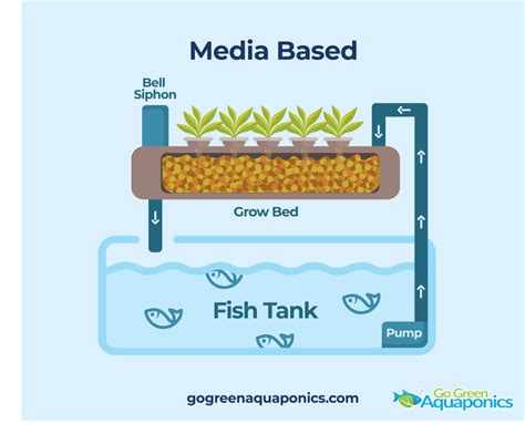 What is a Media Bed Aquaponics System | Aquaponics For Beginners