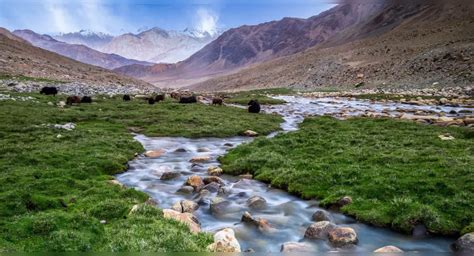 Nubra Valley – an incredibly beautiful cold desert | Times of India Travel